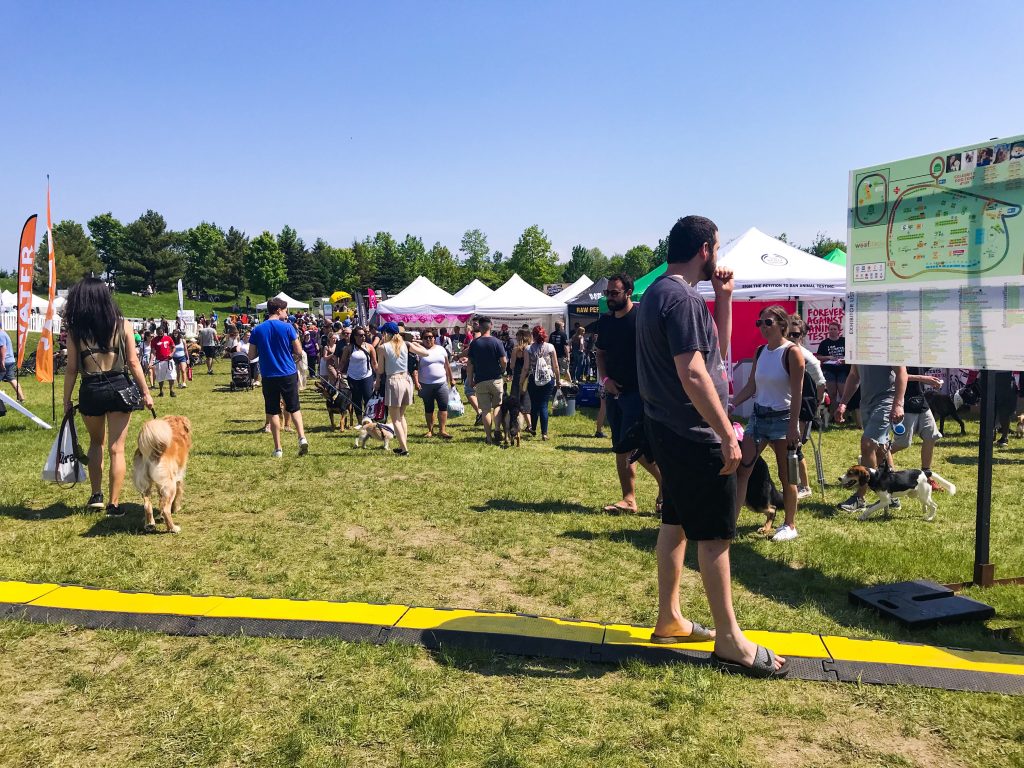 Our Trip to Woofstock - North America?s Largest Festival for Dogs Information Booth