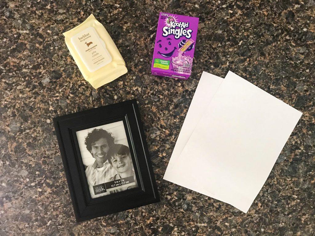 DIY Pet Safe Ink Paw Print Picture Materials