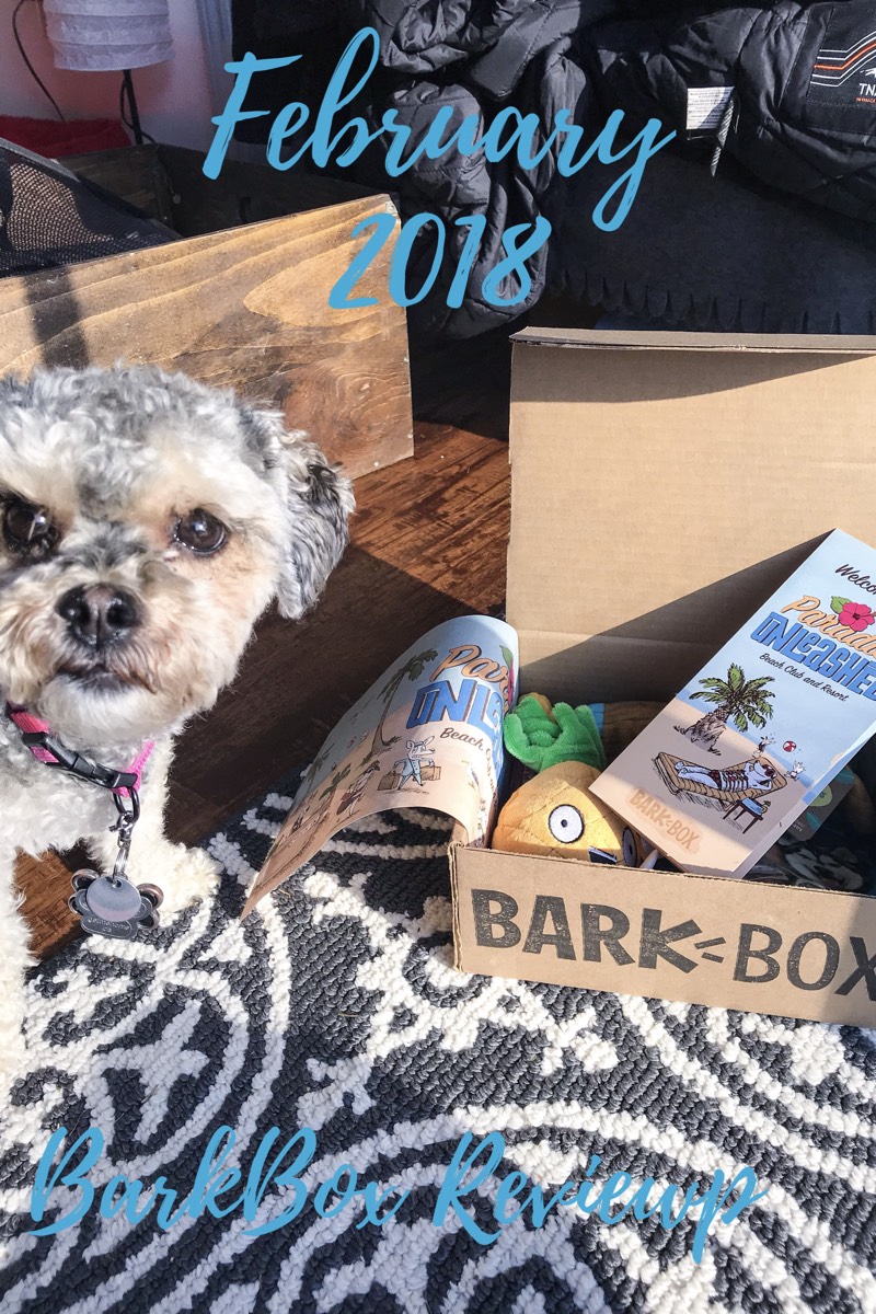 BarkBox Review February 2018 Life With Four Paws